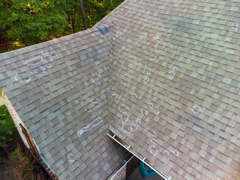 Asphalt Roof Inspection in Windsor, CO