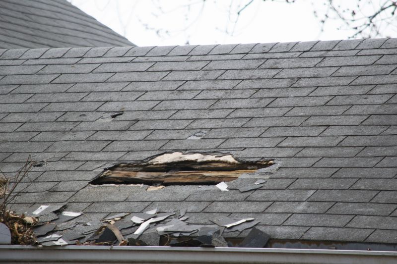 Asphalt Roof Leak Repair in Larimer County, CO