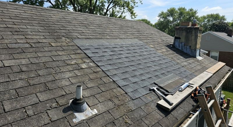 Asphalt Roof Repair in Nunn, CO