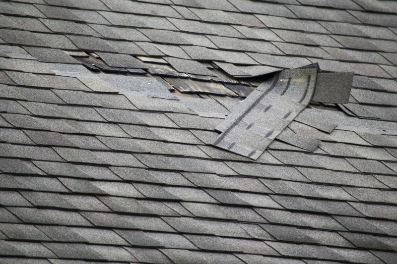 Asphalt Roof Repair in Wellington, CO