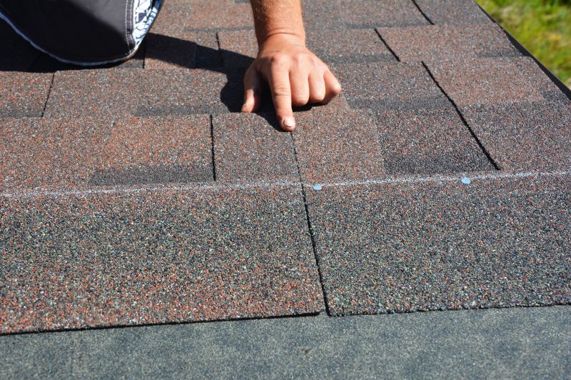 Asphalt Shingles Installation in Fort Collins, CO
