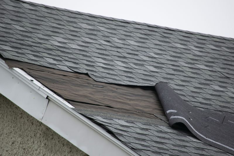 Asphalt Shingles Repair in Larimer County, CO