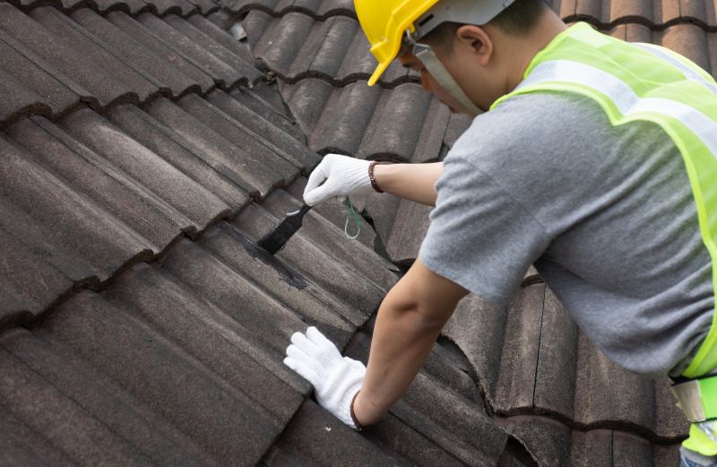 Bedroom Leak Repair in Windsor, CO