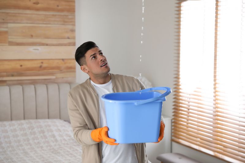 Bedroom Leak Repair in Windsor, CO