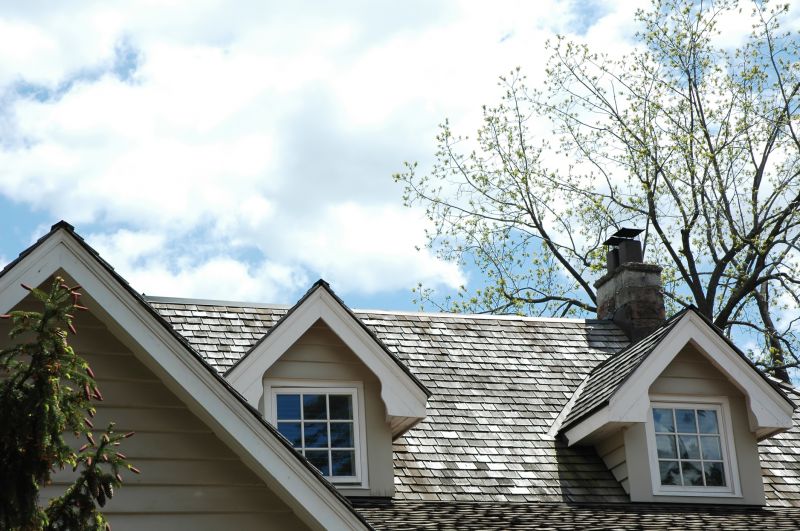 Cedar Shingles Replacement in Larimer County, CO