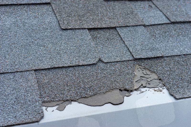Damaged Roof Repair in Johnstown, CO