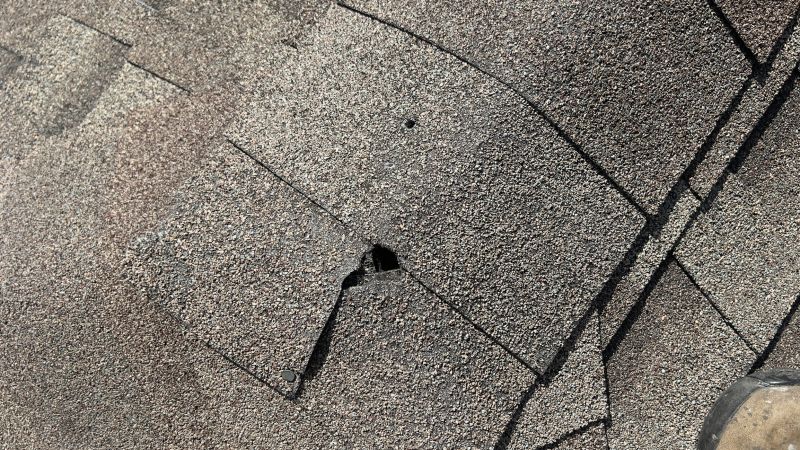Damaged Roof Repair in Larimer County, CO