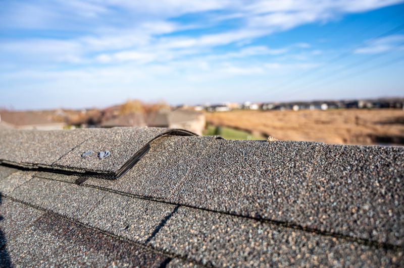 Damaged Roof Repair in Nunn, CO