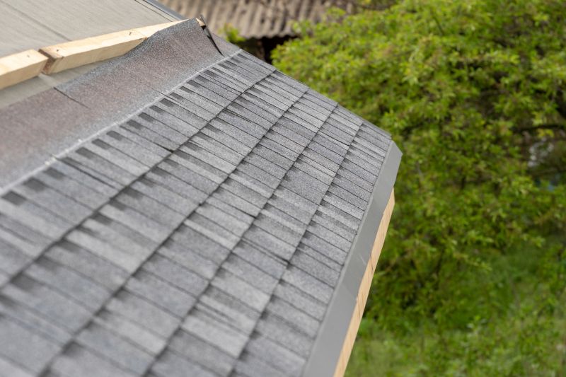 Damaged Roof Repair in Nunn, CO