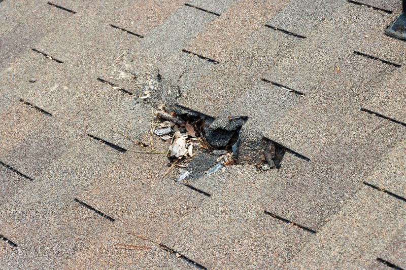 Damaged Roof Replacement in Nunn, CO