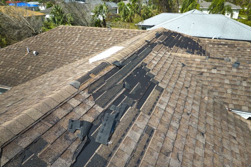 Dormer Roof Repair in Windsor, CO