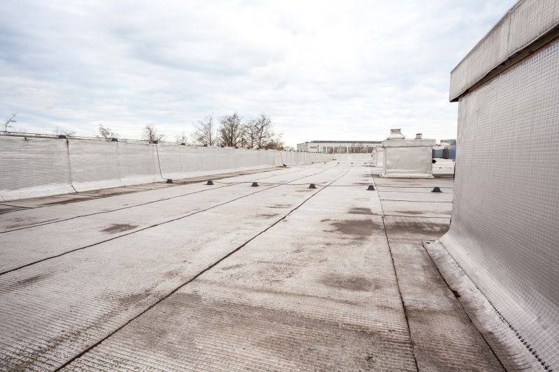 Flat Roof Leak Repair in Windsor, CO