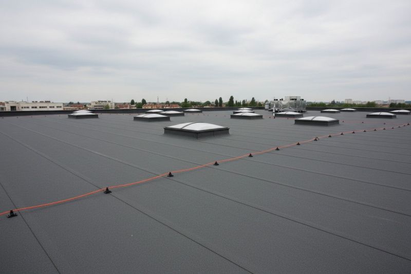 Flat Roof Replacement in Wellington, CO