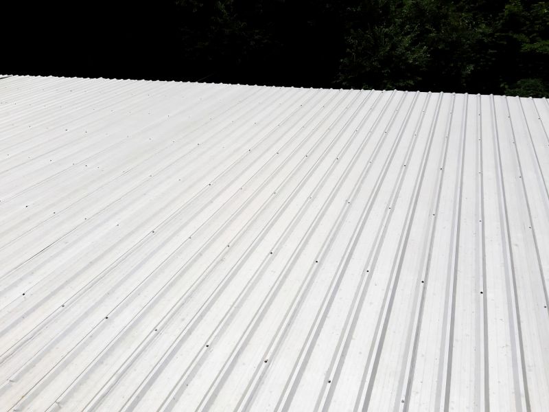 Galvanized Roof Repair in Windsor, CO