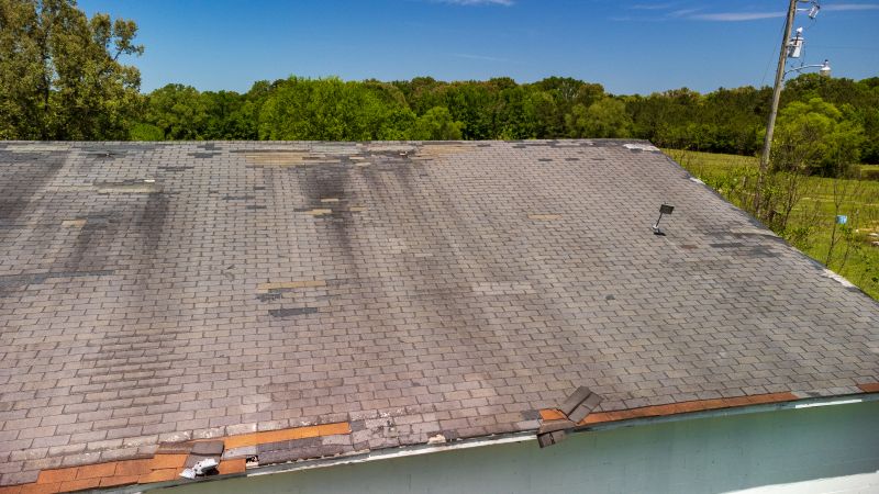 Hail Damage Roof Repair in Larimer County, CO