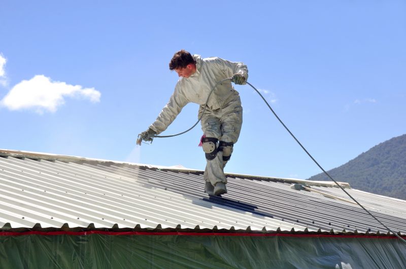 Metal Roof Coating Service in Windsor, CO