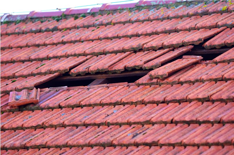 Roof Damage Inspection in Larimer County, CO