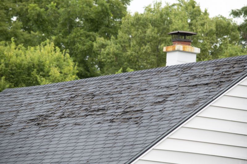 Roof Hail Damage Repair in Windsor, CO