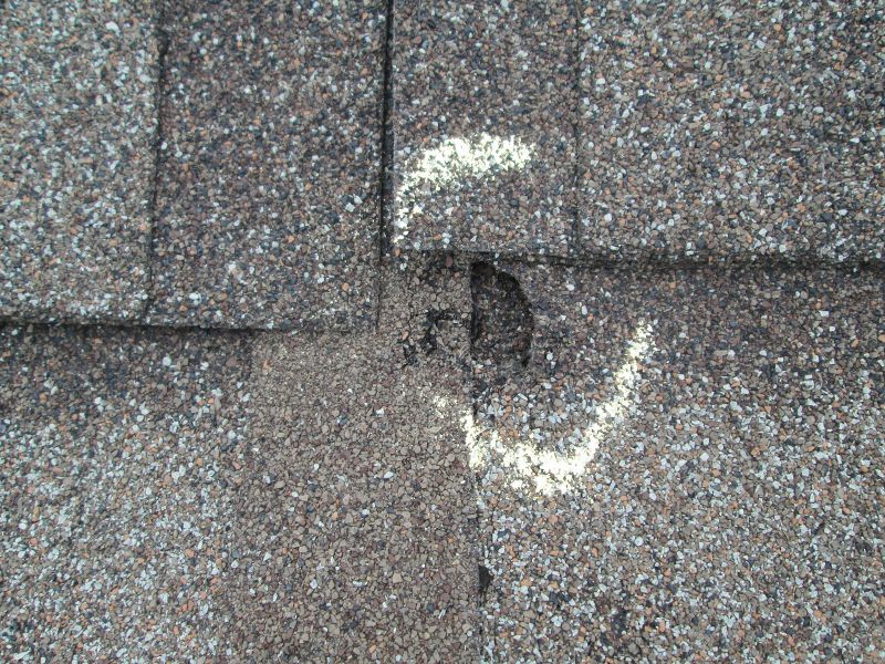 Roof Hail Damage Repair in Windsor, CO