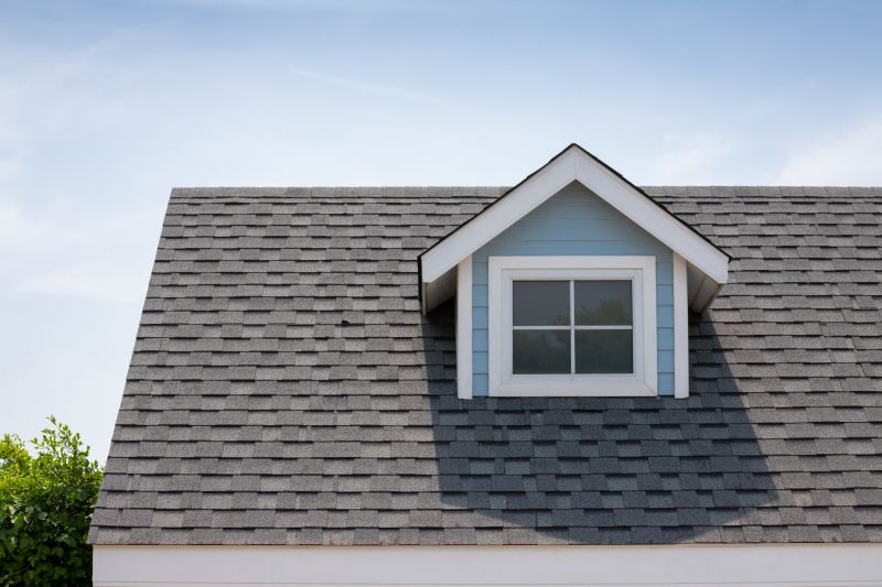 Roof Patching Service in Windsor, CO