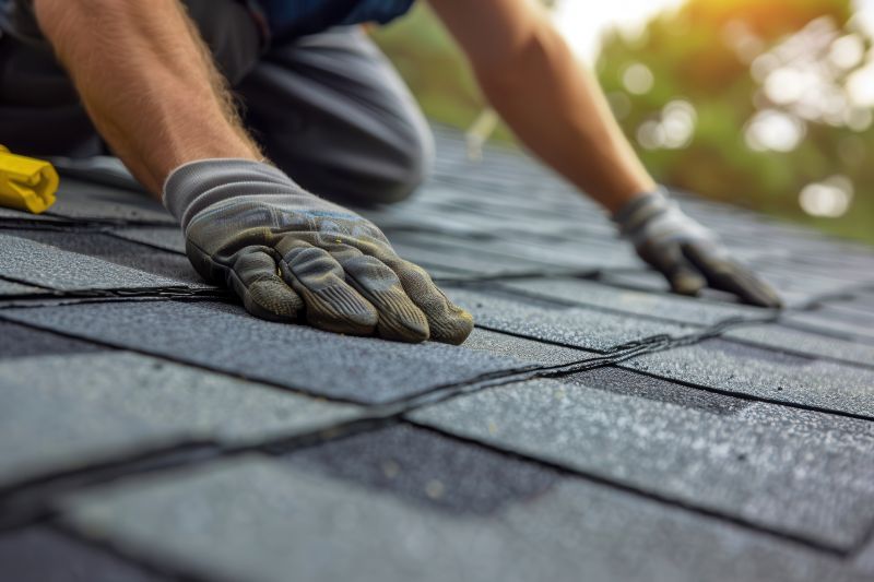 Shingles Repair in Larimer County, CO