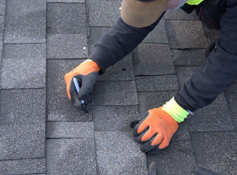 Shingles Repair in Wellington, CO
