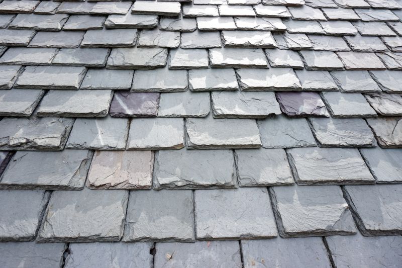 Slate Roof Repair in Larimer County, CO