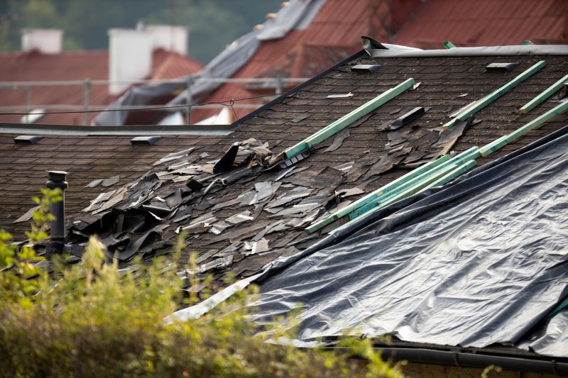 Storm Damage Roof Tarping in Windsor, CO