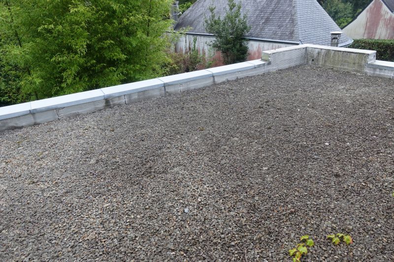 Tar And Gravel Roof Repair in Larimer County, CO