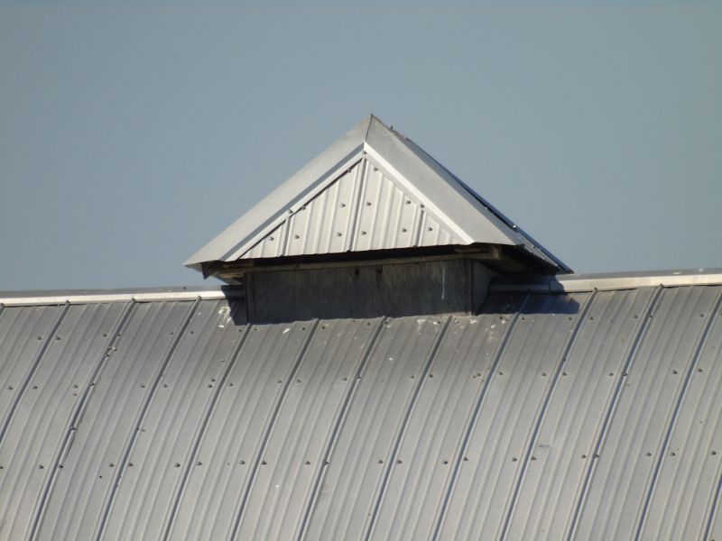 Tin Roof Installation in Timnath, CO