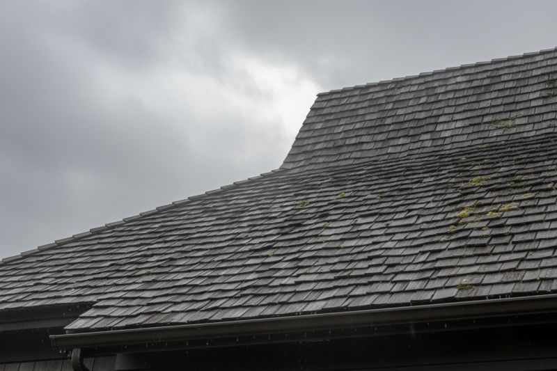 Wood Shake Roof Replacement in Johnstown, CO