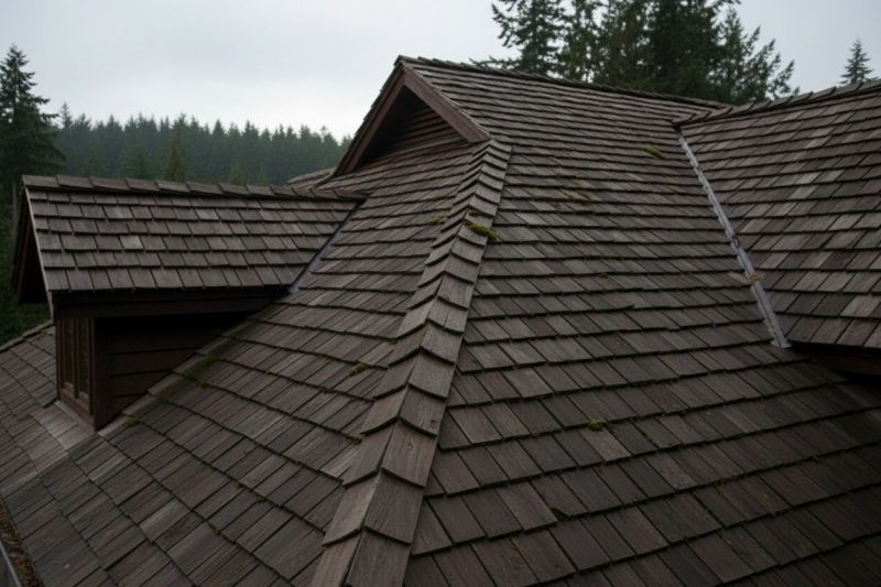 Wood Shake Roof Replacement in Nunn, CO
